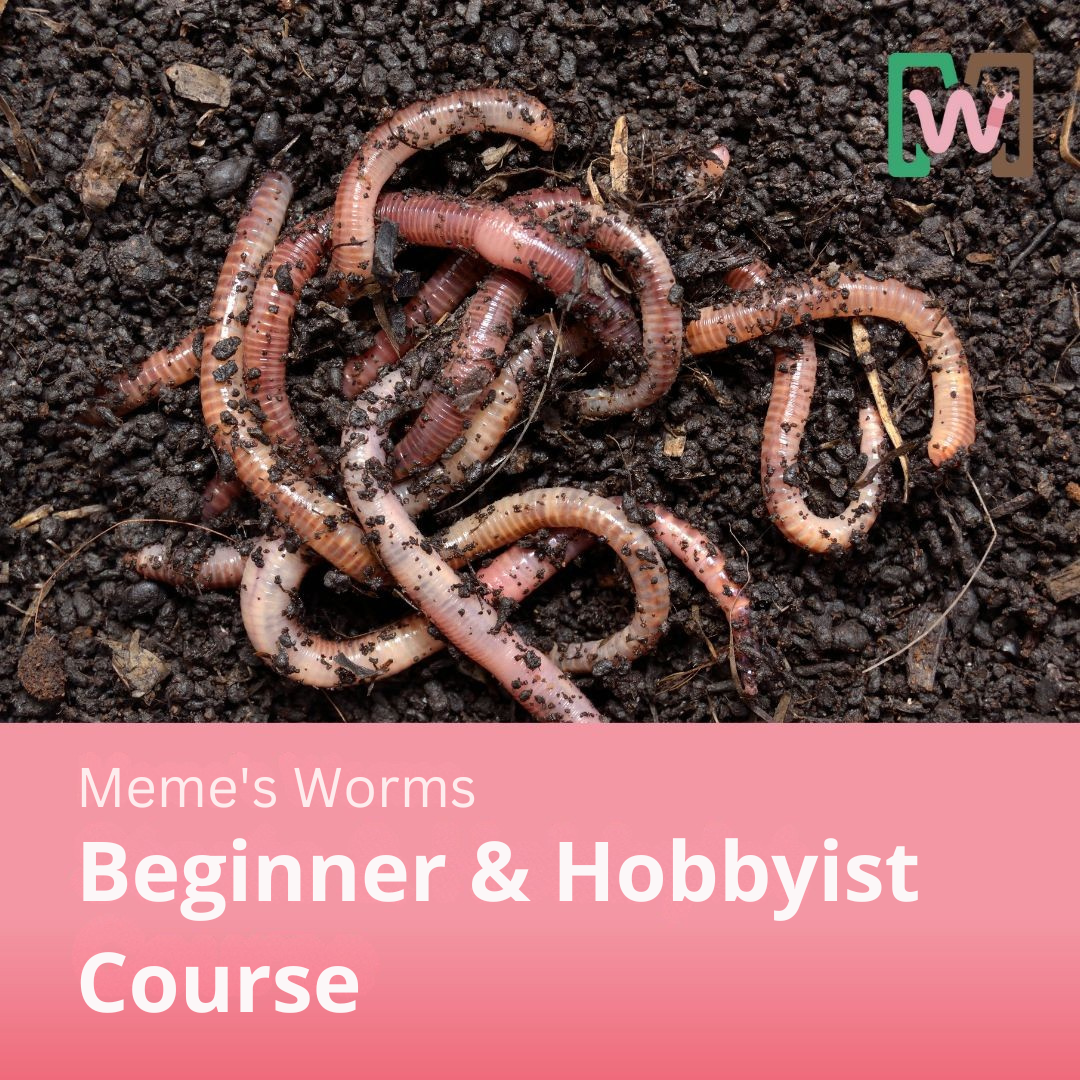 Meme's Worms Beginner & Hobbyist Course Bundle