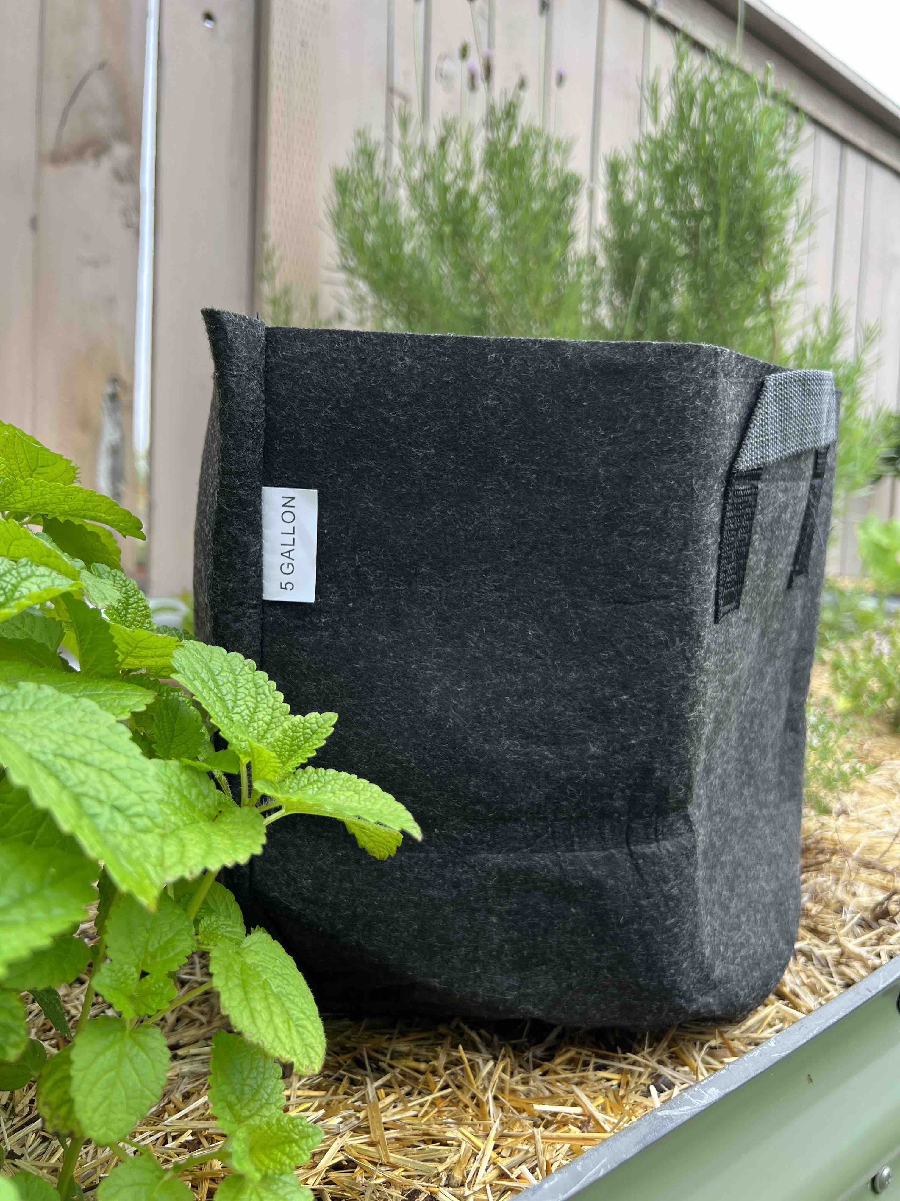 Meme's Fabric Grow Bag