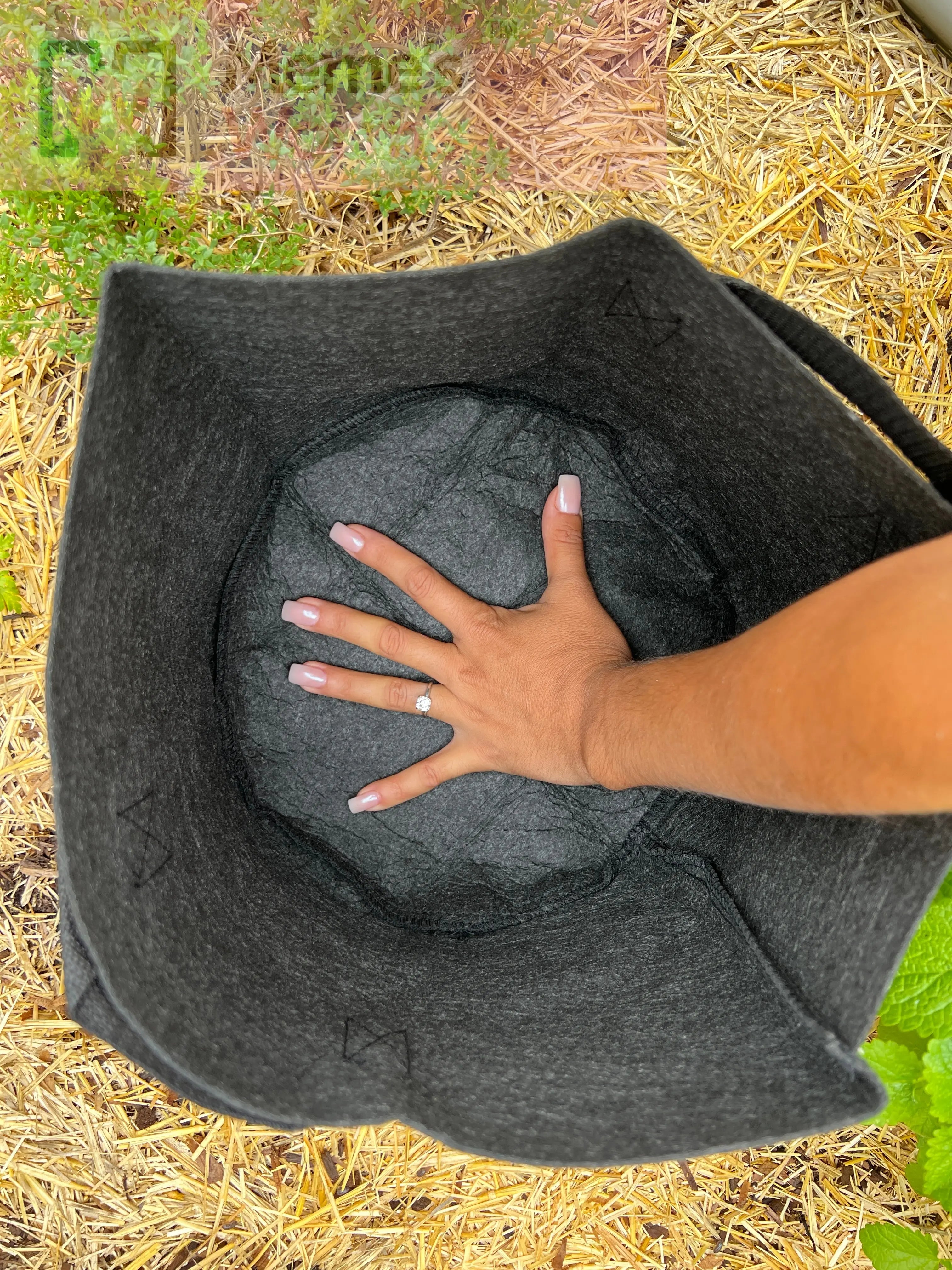 Ready-to-Go Ecosystem