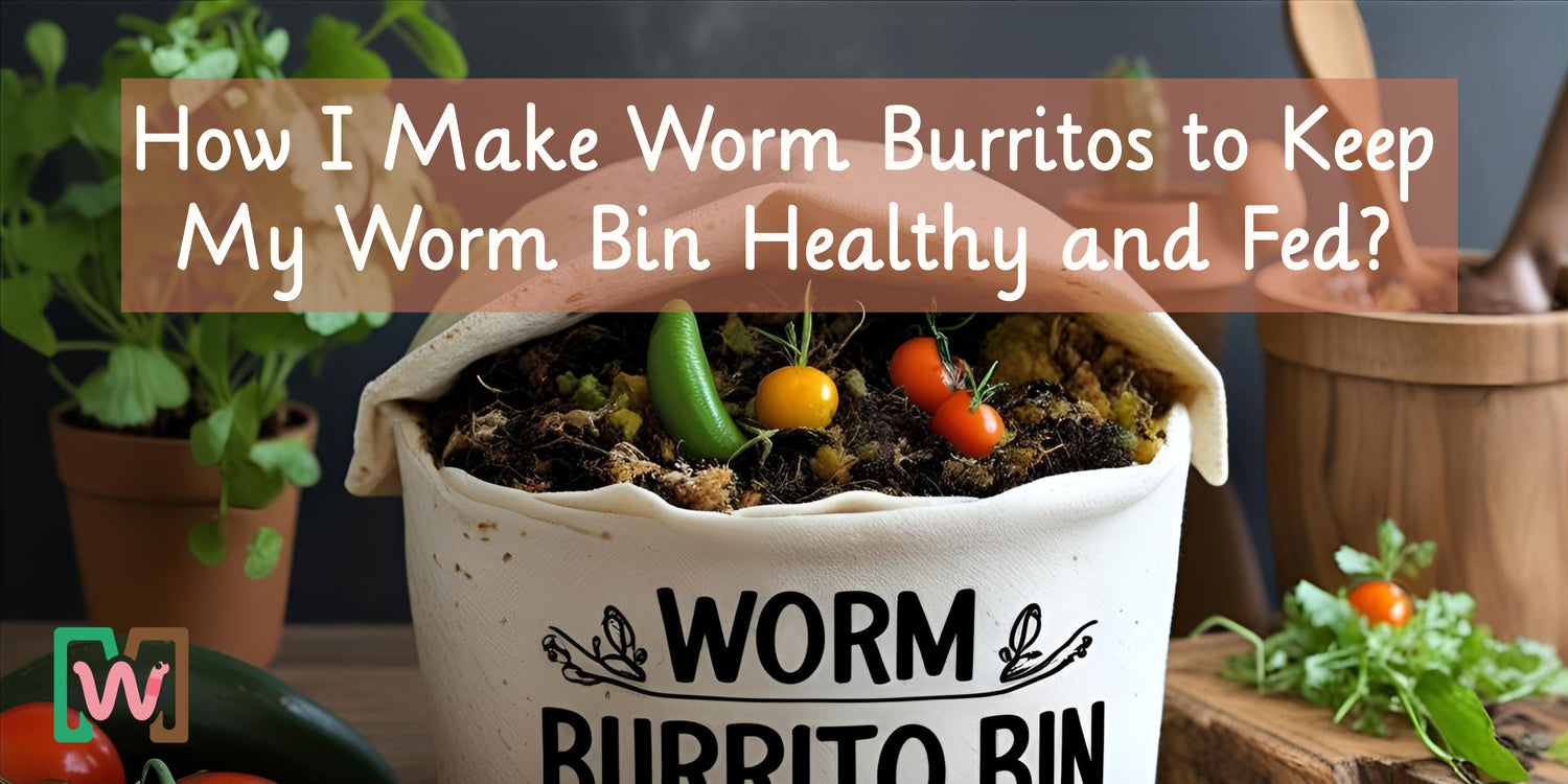 How I Make Worm Burritos to Keep My Worm Bin Healthy and Fed?
