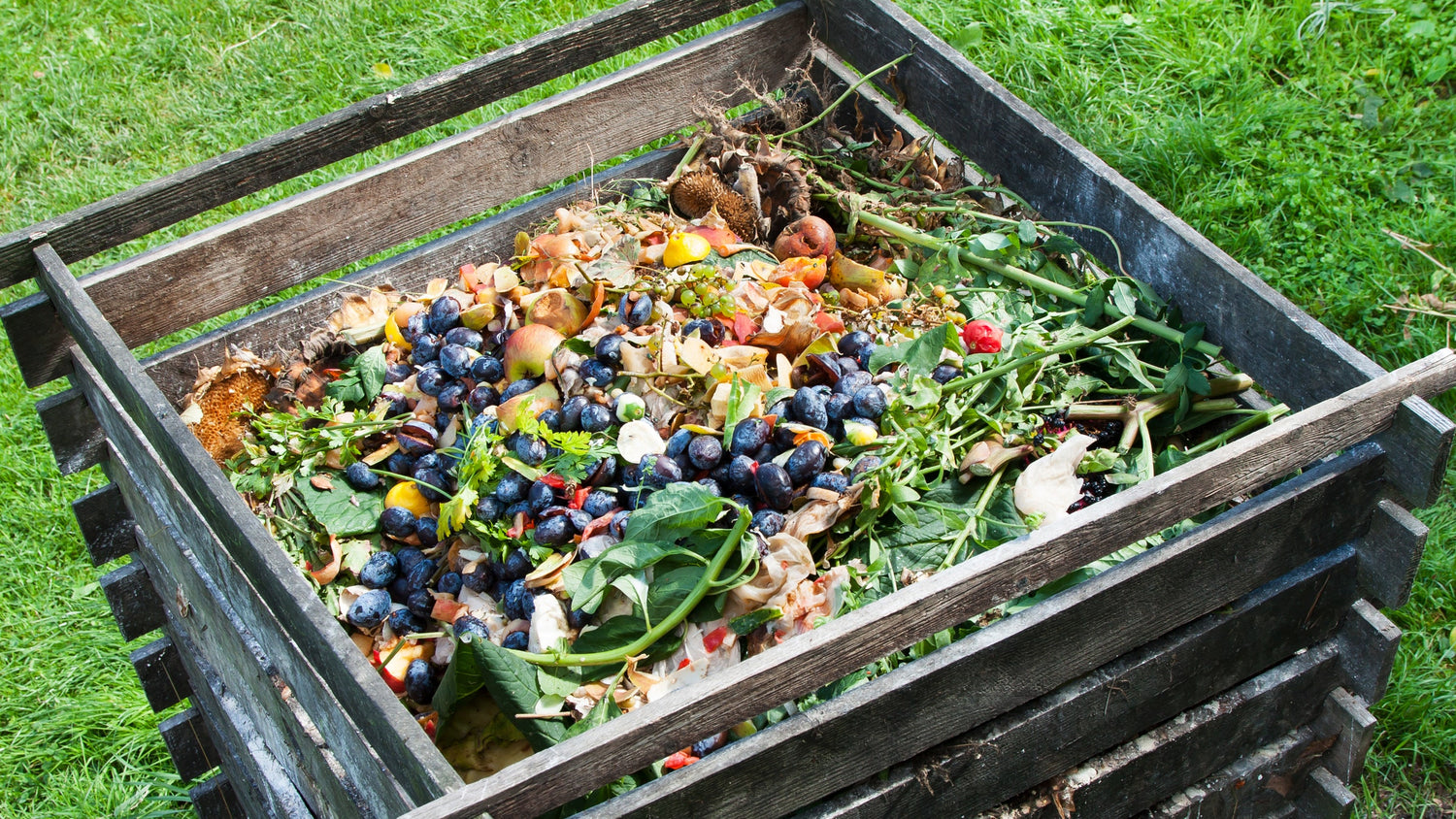 Composting Helps Your Soil & Your Soul Meme's Worms