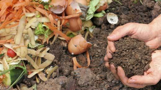 A Guide To Compost Your Thanksgiving Day Leftovers Meme's Worms