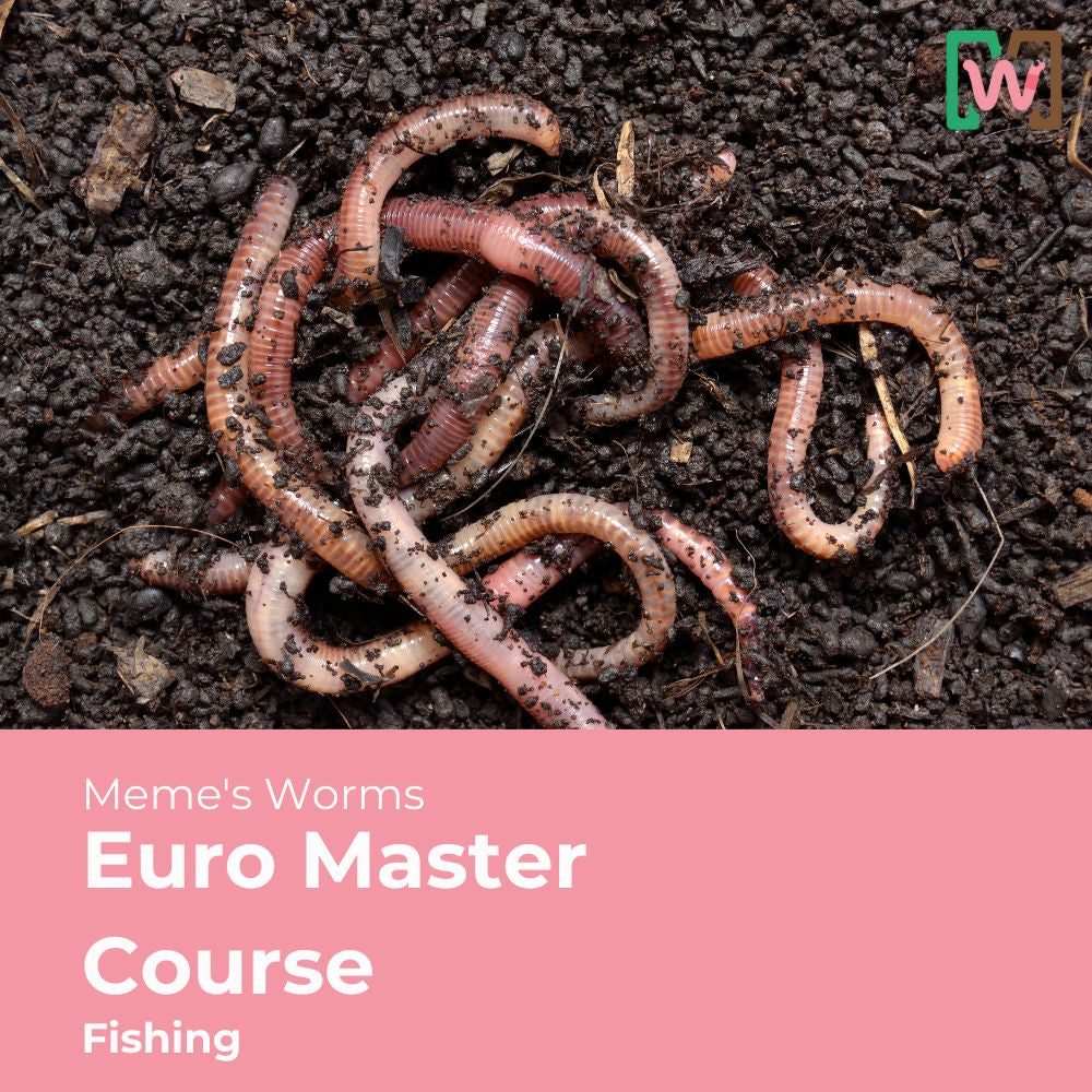 Meme's Worms Euro Master Course - Fishing