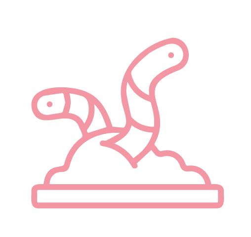 Meme's Icon Worm Pink