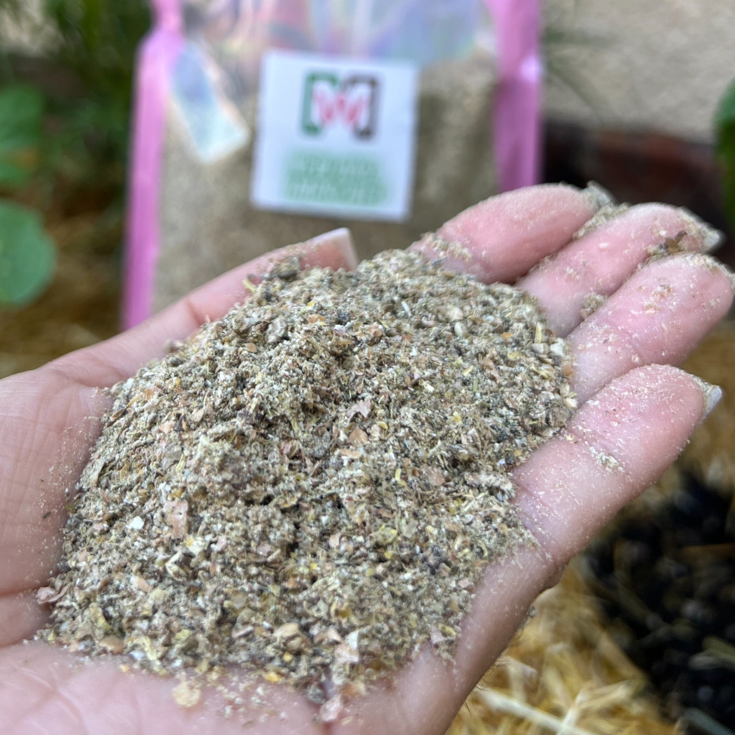 Beginner's Bundle - Red Wigglers, Worm Bin, Worm Chow, Beginner's Course