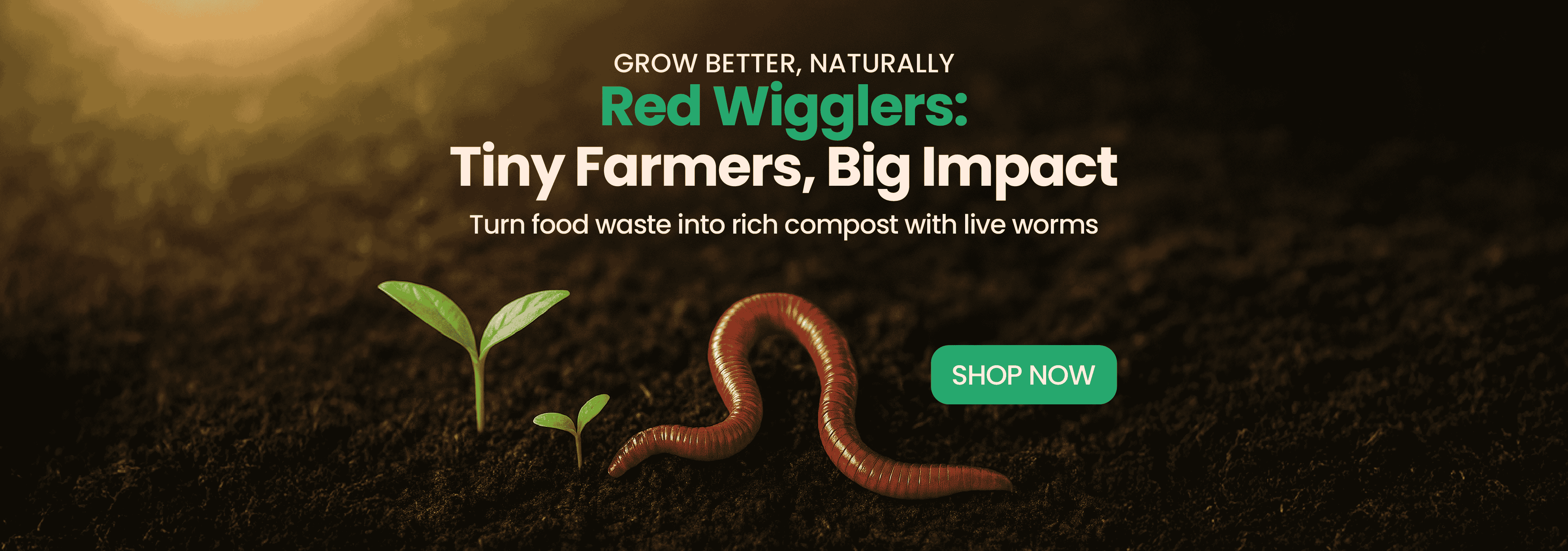 Red wigglers