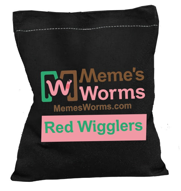 Pure Red Wiggler Composting Worms EISENIA FETIDA
