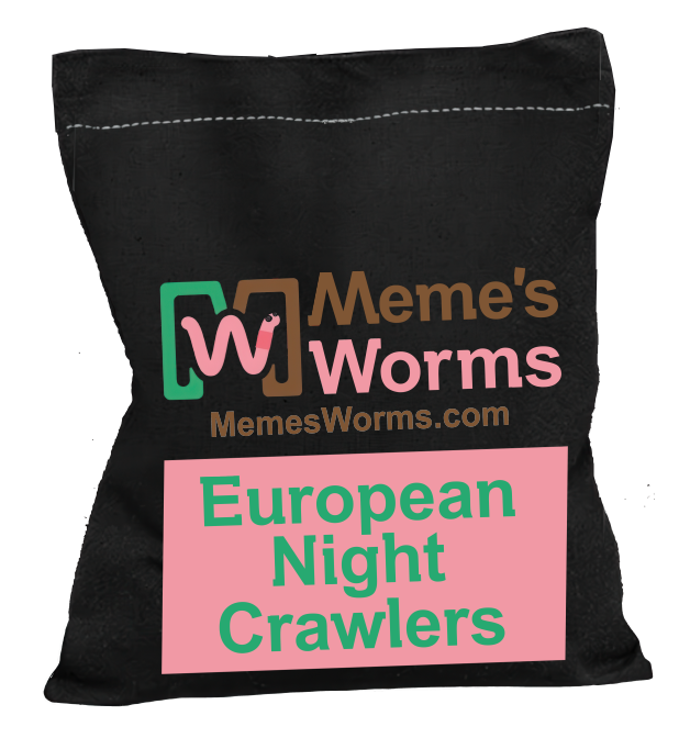 BULK European Nightcrawlers (100% Pure) composting worms