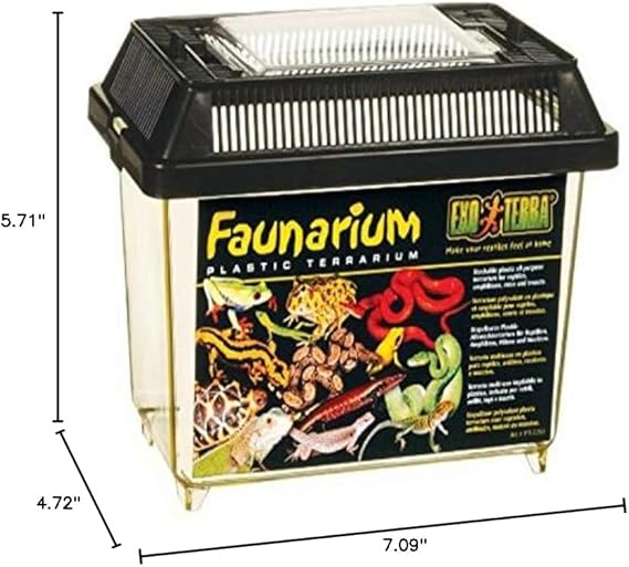 Composting Worm Bin for Teachers – Classroom Composting Kit with Vermifusion